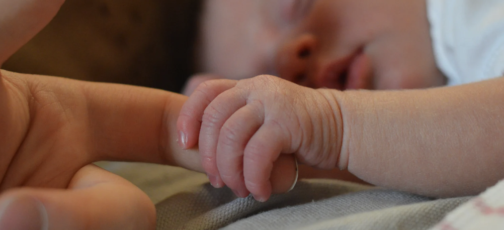 화면 캡처 2024-12-29 180746.png