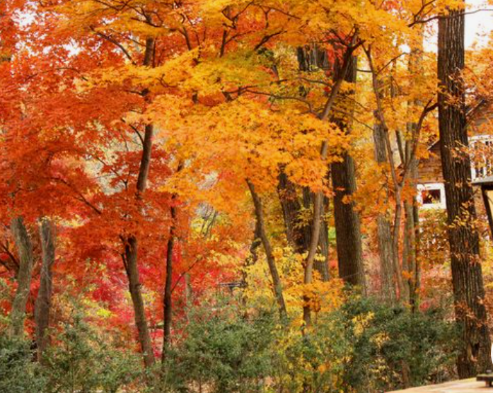 화면 캡처 2022-12-05 002709.png