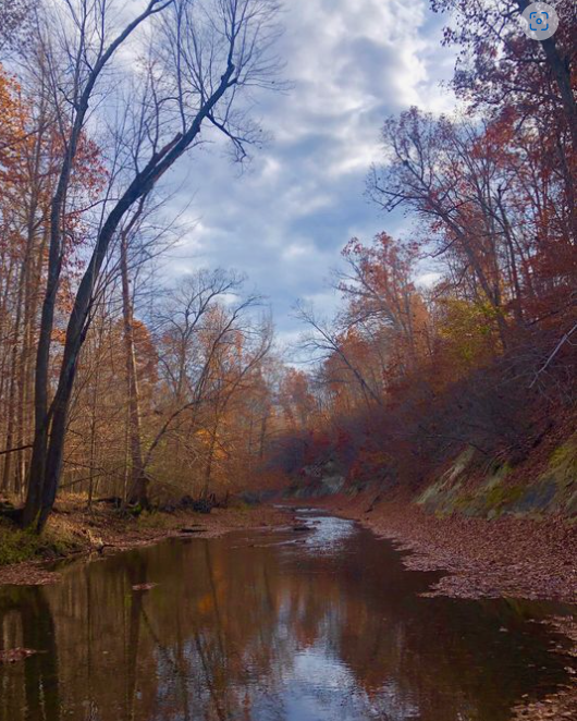 화면 캡처 2022-12-05 002310.png