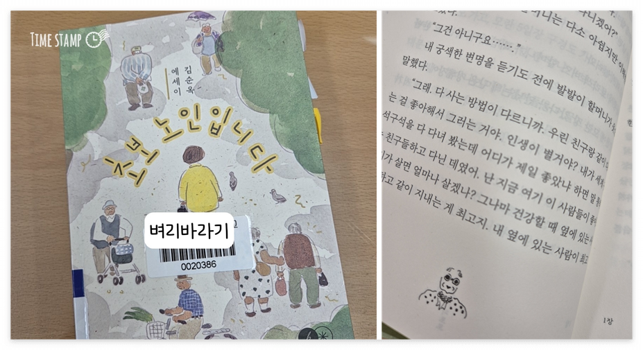 초보 노인_사진.png