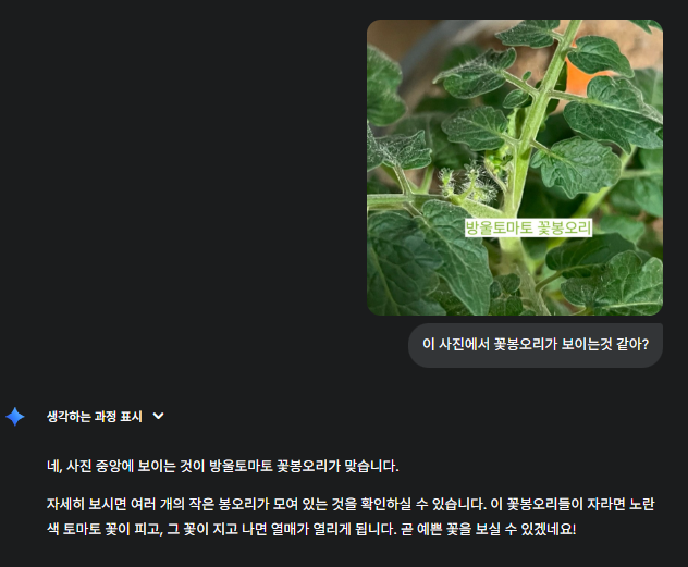 화면 캡처 2025-09-29 144341.png