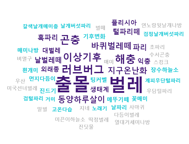 텍스톰 워드클라우드.png