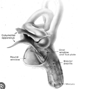 2025-08-25 14_38_50-Chat _ Kim, MyungHoon _ Microsoft Teams.png
