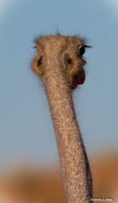 2025-08-25 14_37_28-Chat _ Kim, MyungHoon _ Microsoft Teams.png