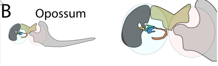 2025-09-02 10_54_46-MiCollab.png