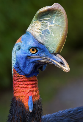 2025-08-25 14_36_21-Chat _ Kim, MyungHoon _ Microsoft Teams.png