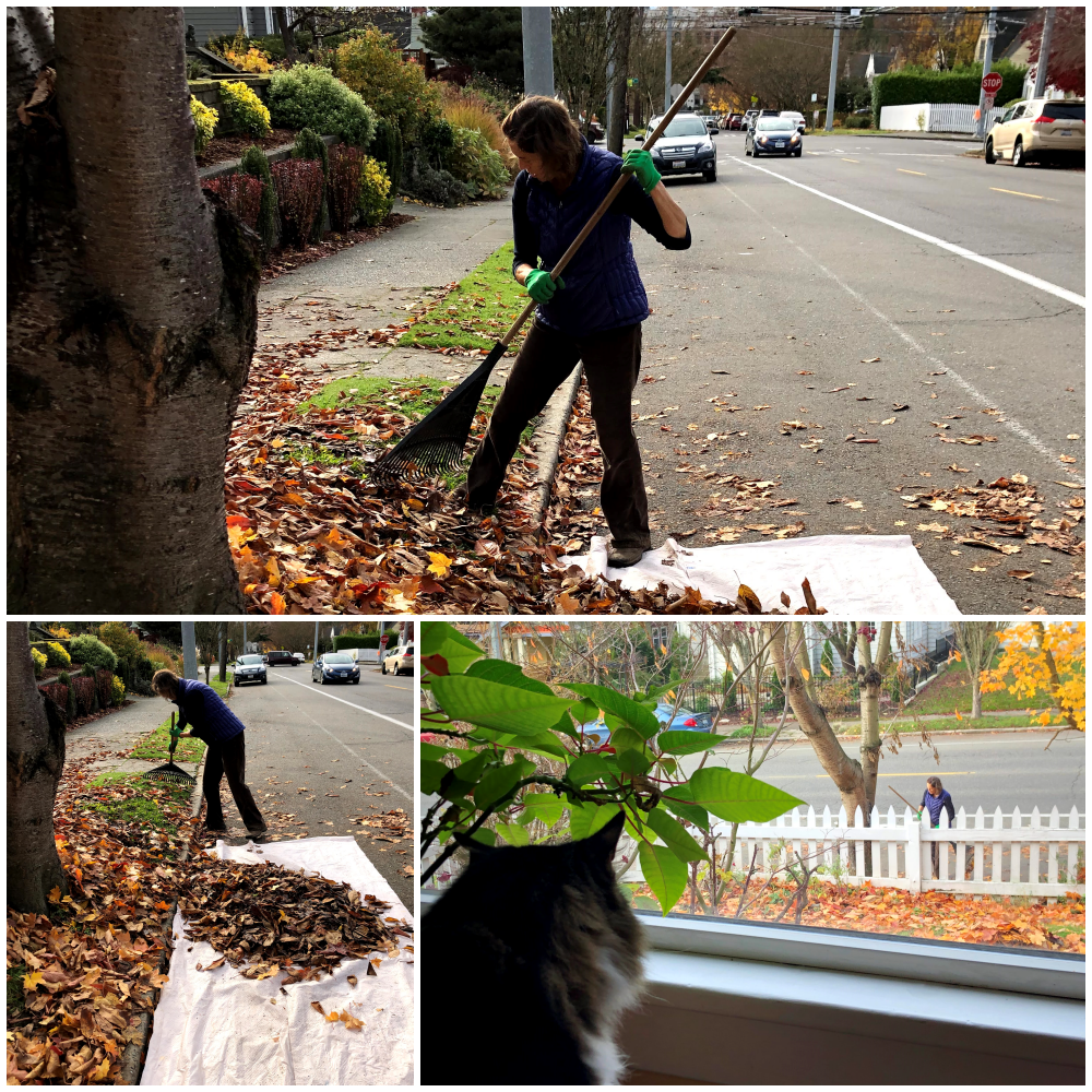 낙엽쓸기.png