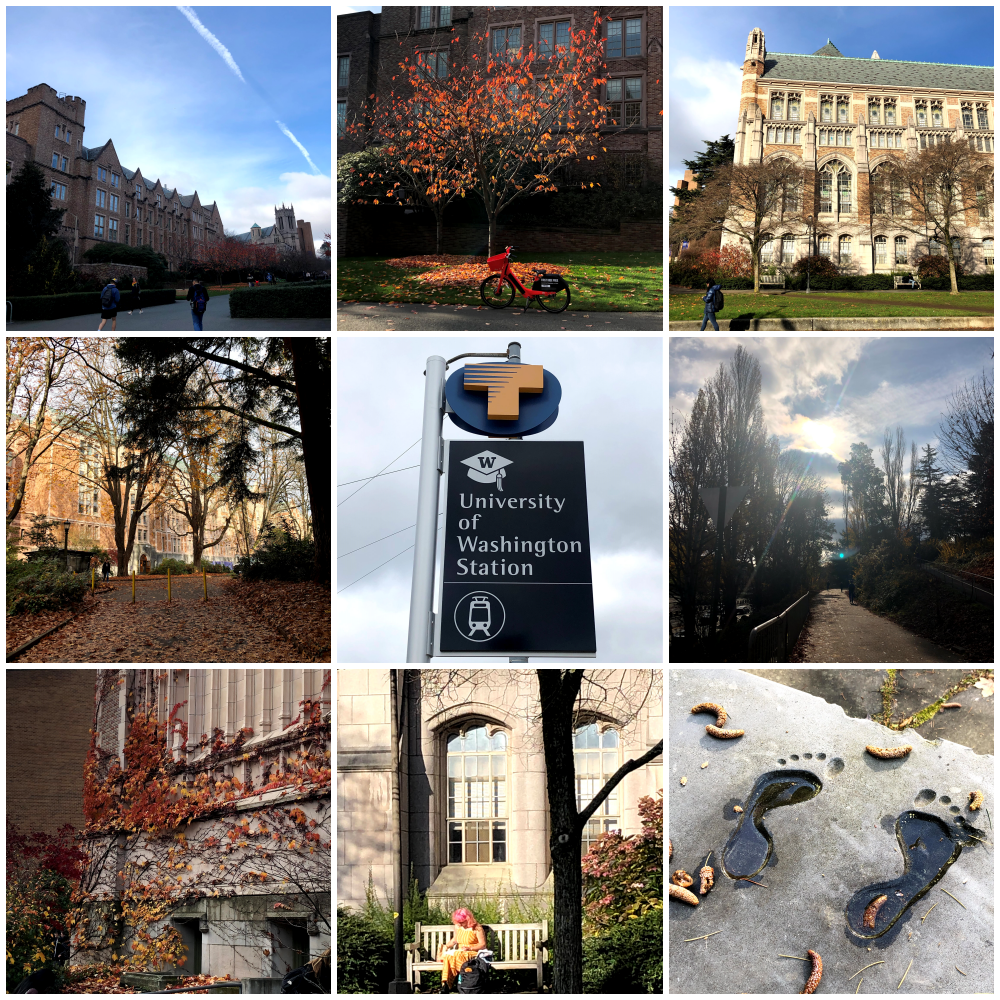 워싱턴대학.png