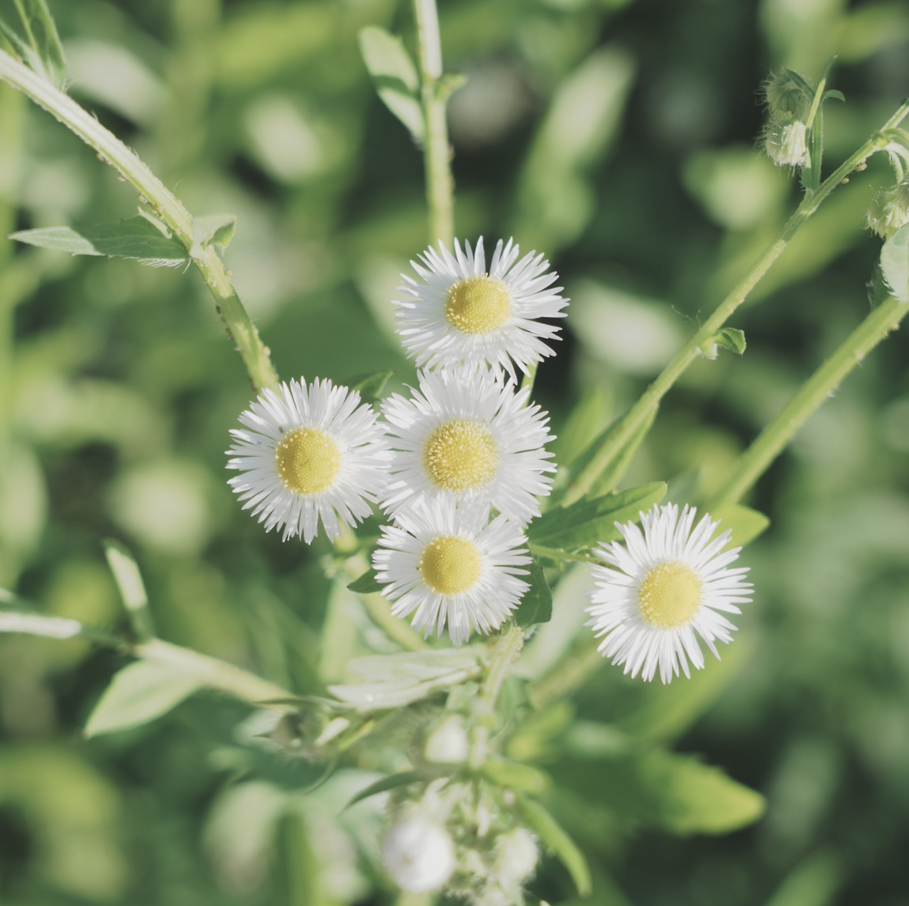 스크린샷 2024-06-14 오후 7.18.29.png