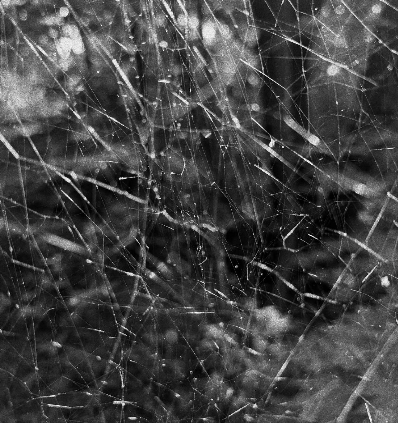 스크린샷 2025-09-13 오후 10.36.40.png