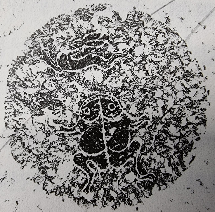 동한 시대 〈산동화상석월상〉.png