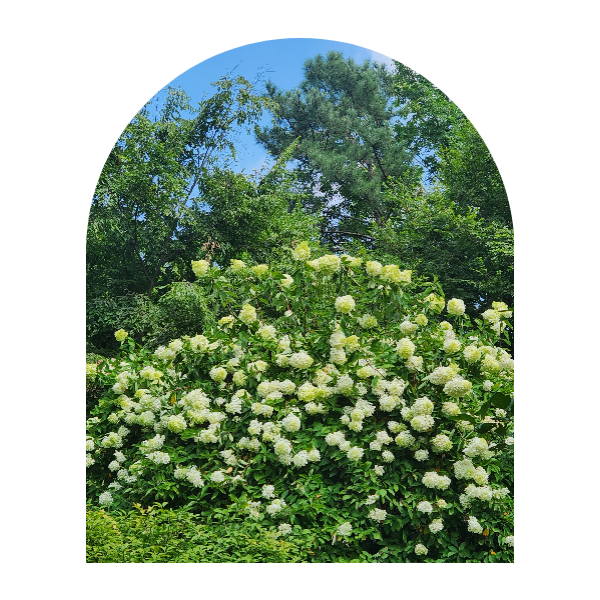 10_01_복사본 (6)-002 (1).png