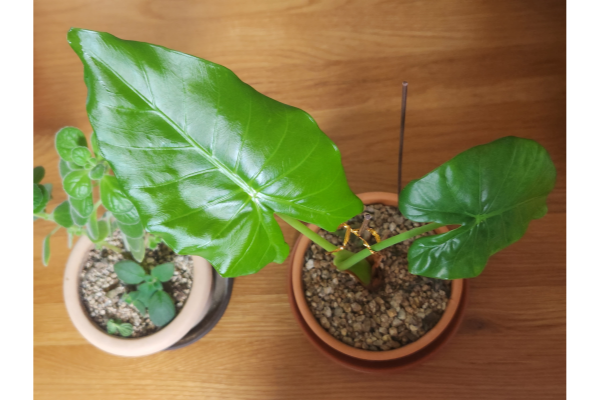 제목을-입력해주세요_-001 (4).png