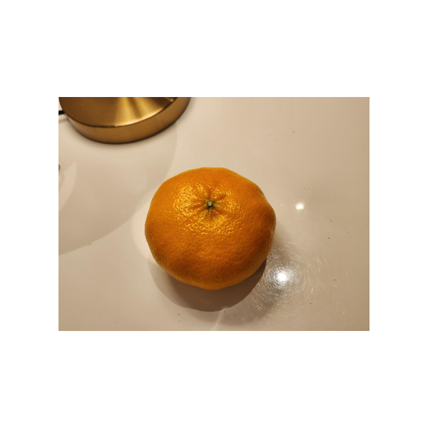 10_01_복사본 (6)-002 (1).png