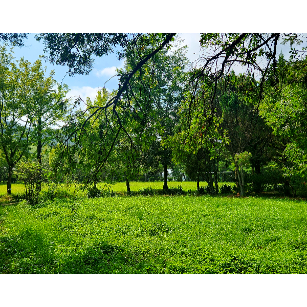 10_01_복사본 (6)-003.png