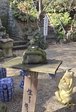 스크린샷 2026-01-07 104343.png