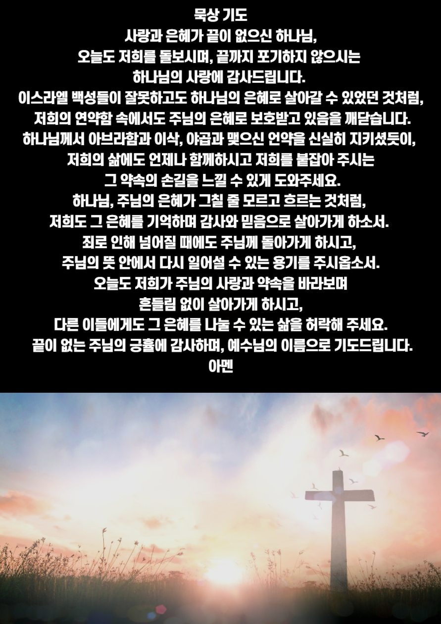 제목을 입력해주세요_-001 (43).png