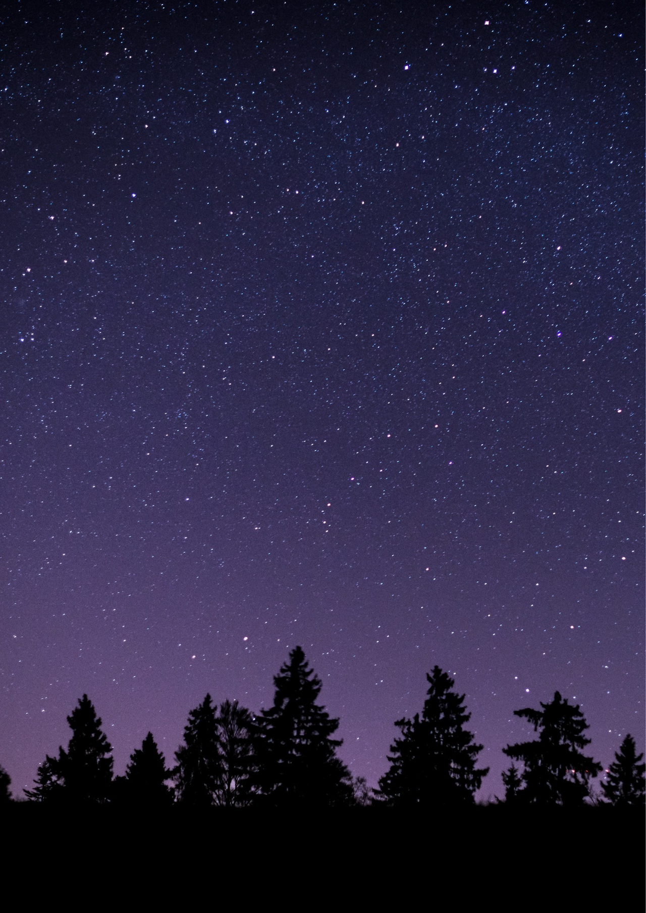 부서진 게으름(뒤표지).png