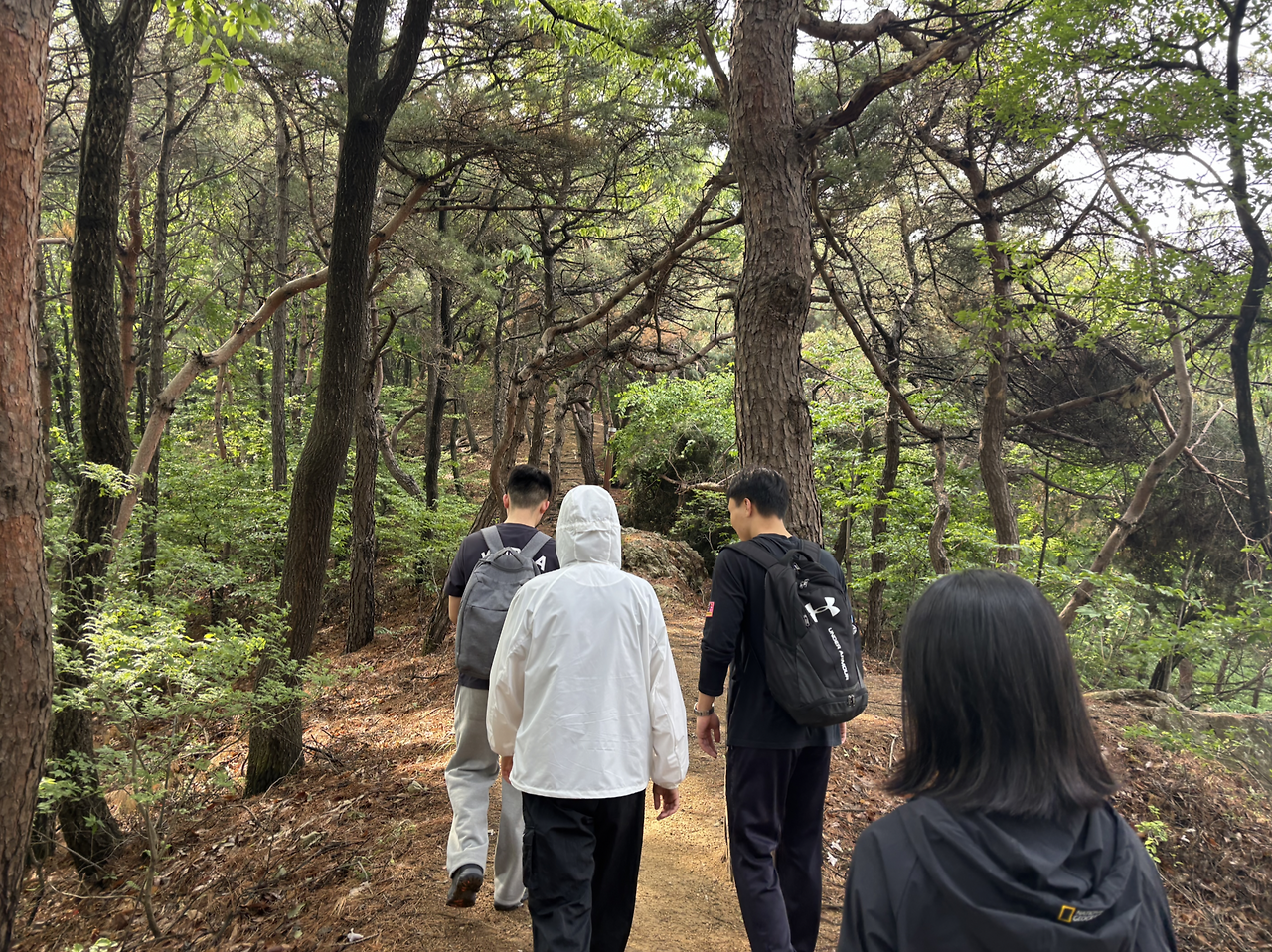 Screen Shot 2025-05-18 at 4.20.12 PM.png