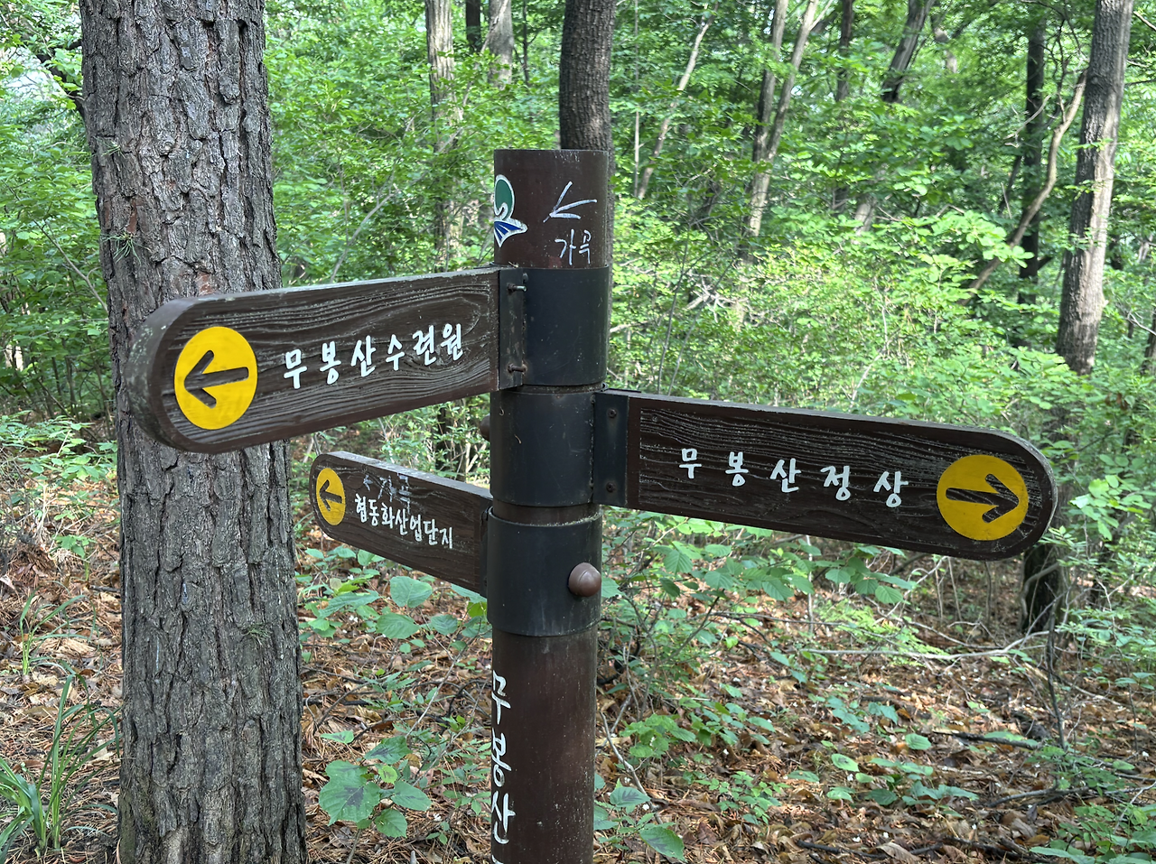 Screen Shot 2025-05-18 at 4.19.49 PM.png