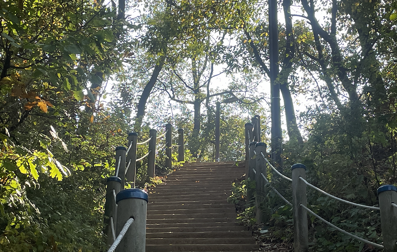 Screen Shot 2023-10-30 at 3.08.43 PM.png