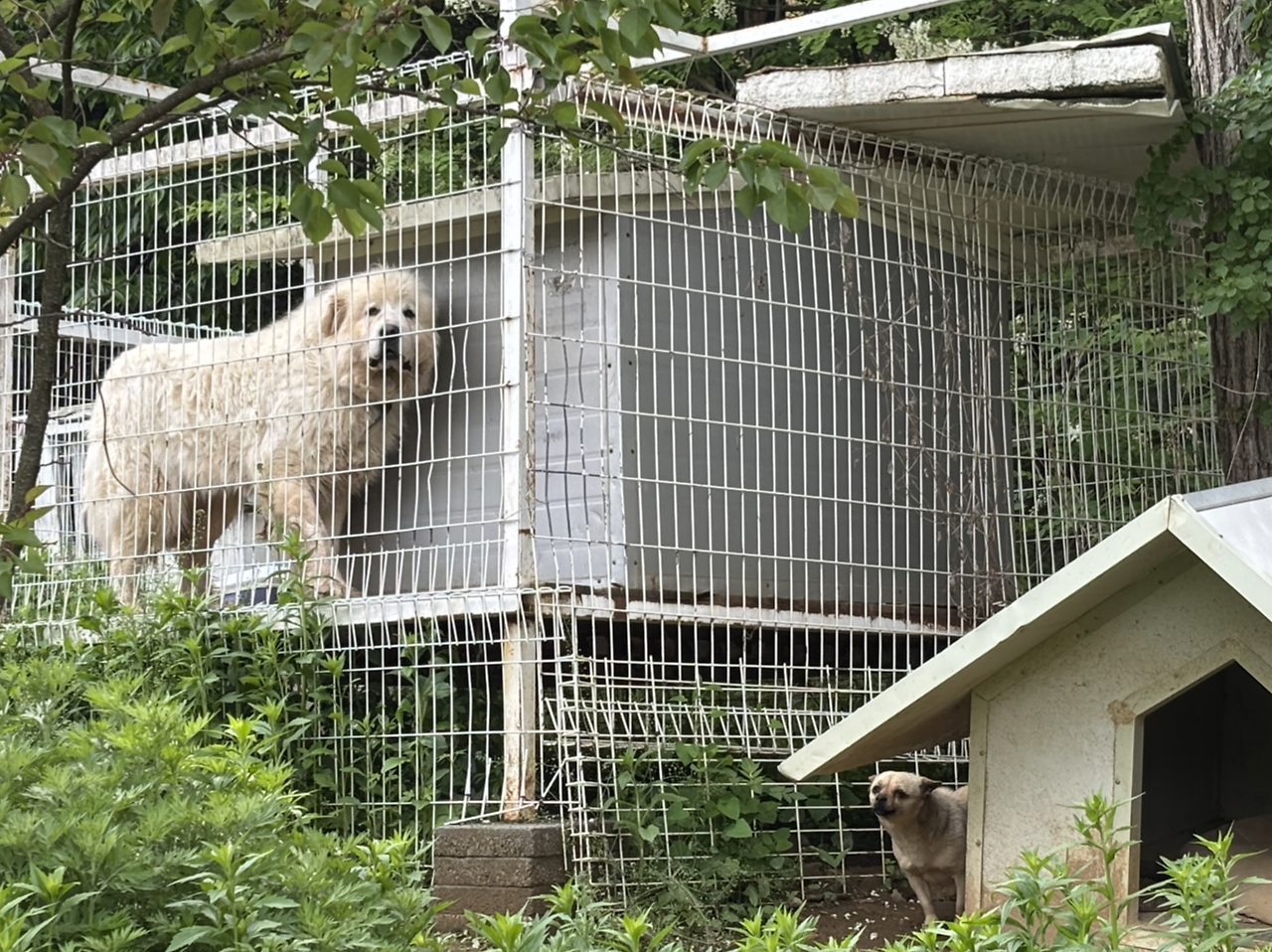 Screen Shot 2025-05-18 at 4.21.50 PM.png