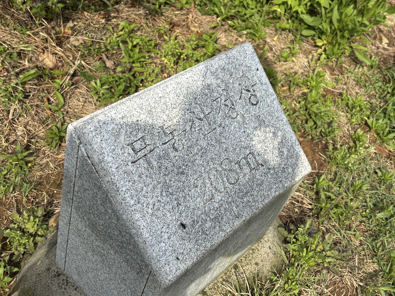 Screen Shot 2025-05-18 at 4.21.14 PM.png