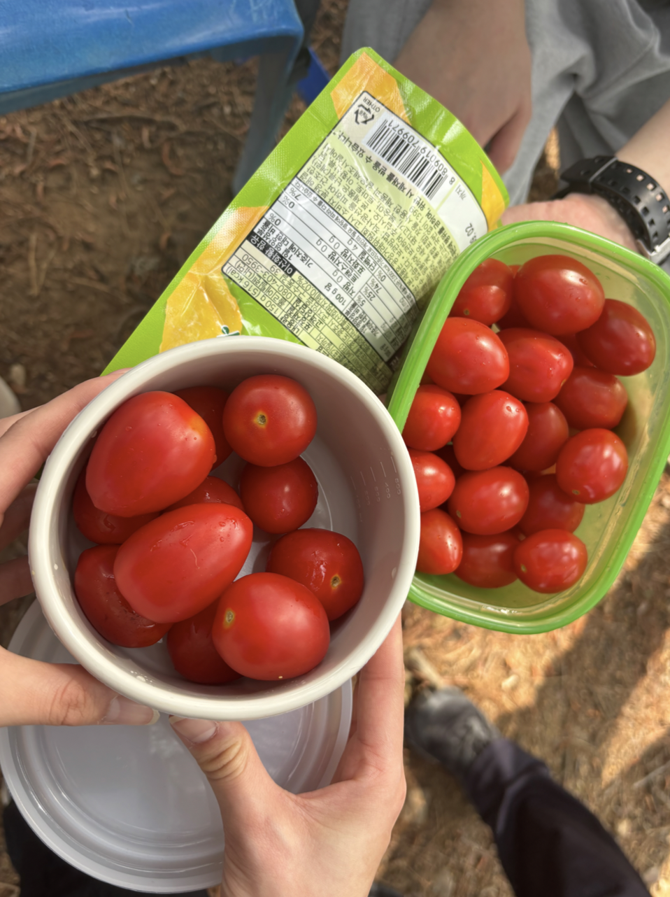 Screen Shot 2025-05-18 at 4.20.56 PM.png