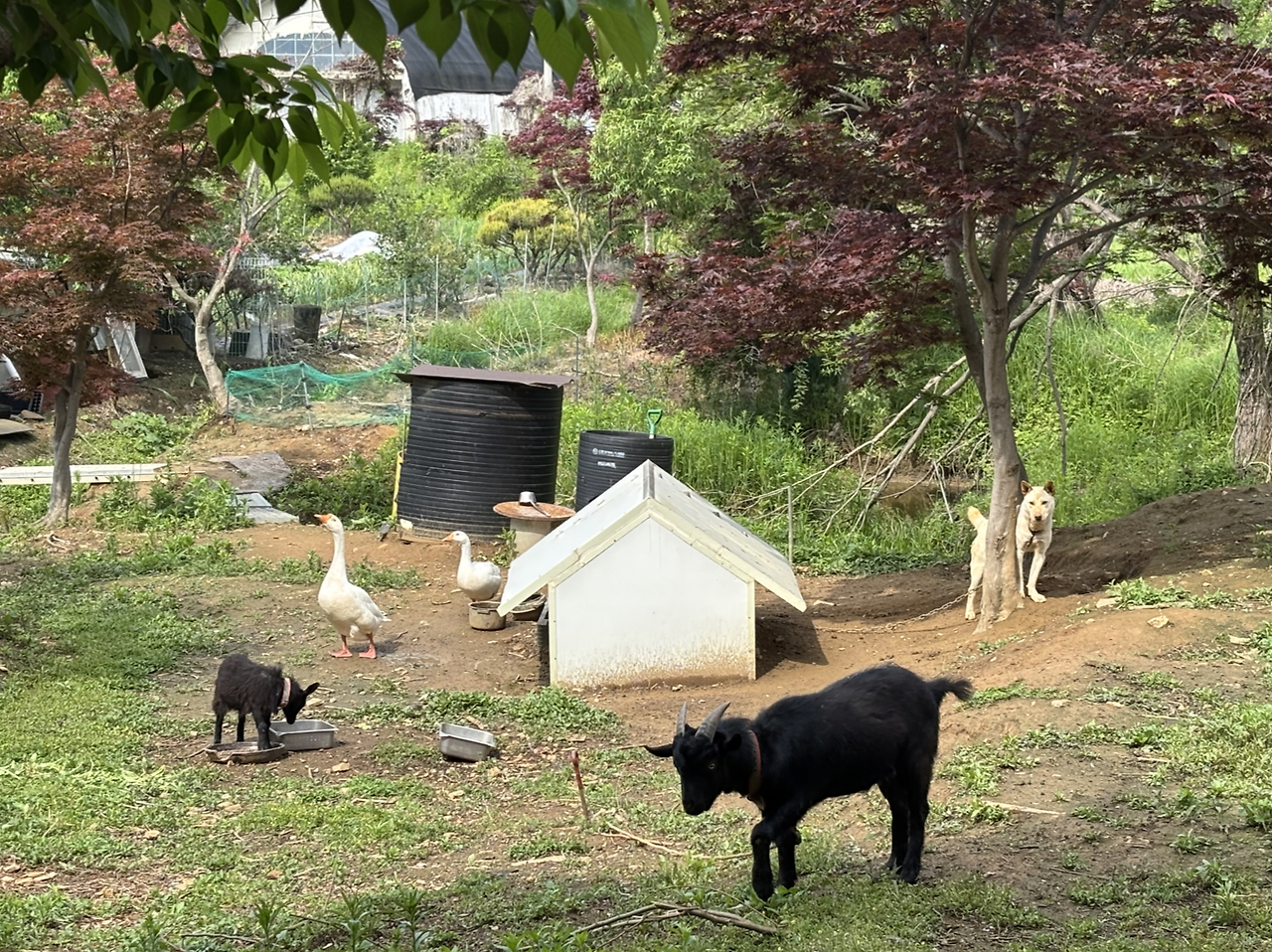 Screen Shot 2025-05-18 at 4.21.37 PM.png