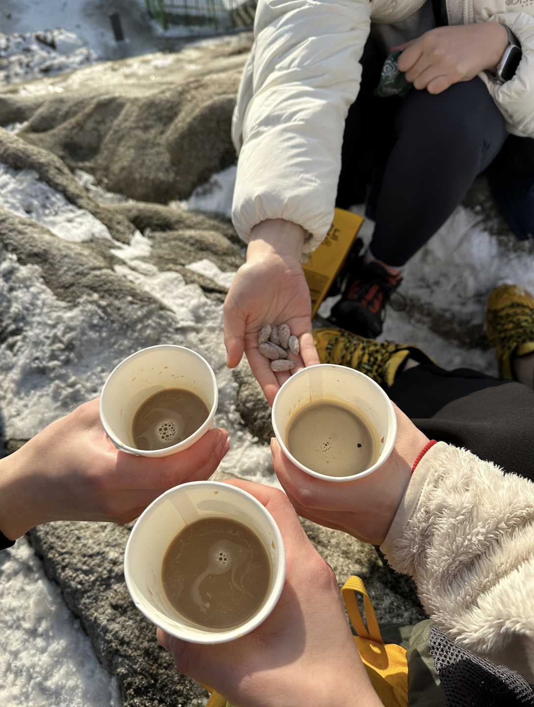 Screen Shot 2024-06-22 at 9.05.20 AM.png