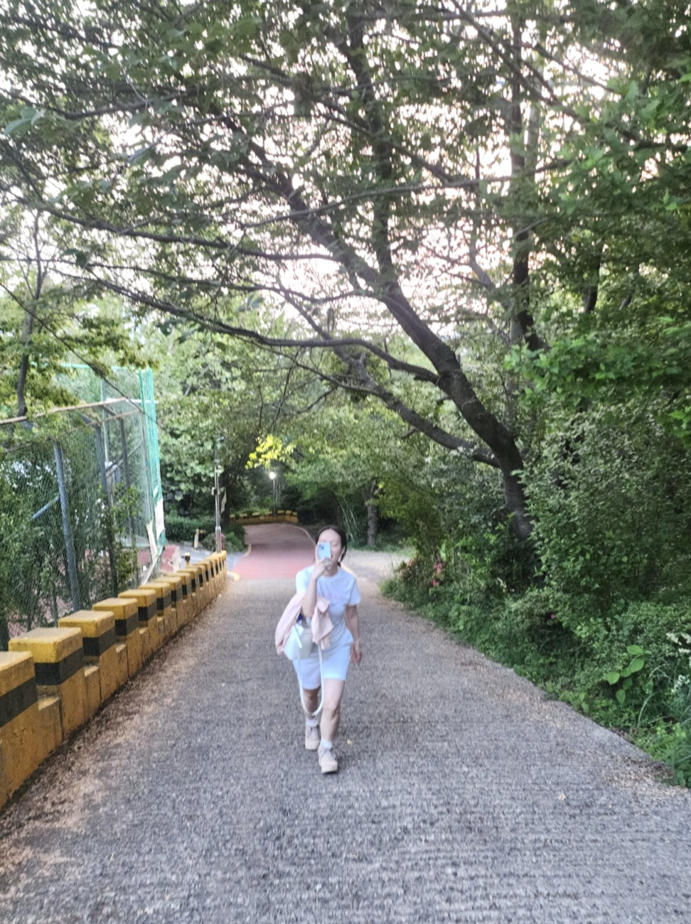 Screen Shot 2025-06-02 at 12.19.11 PM.png