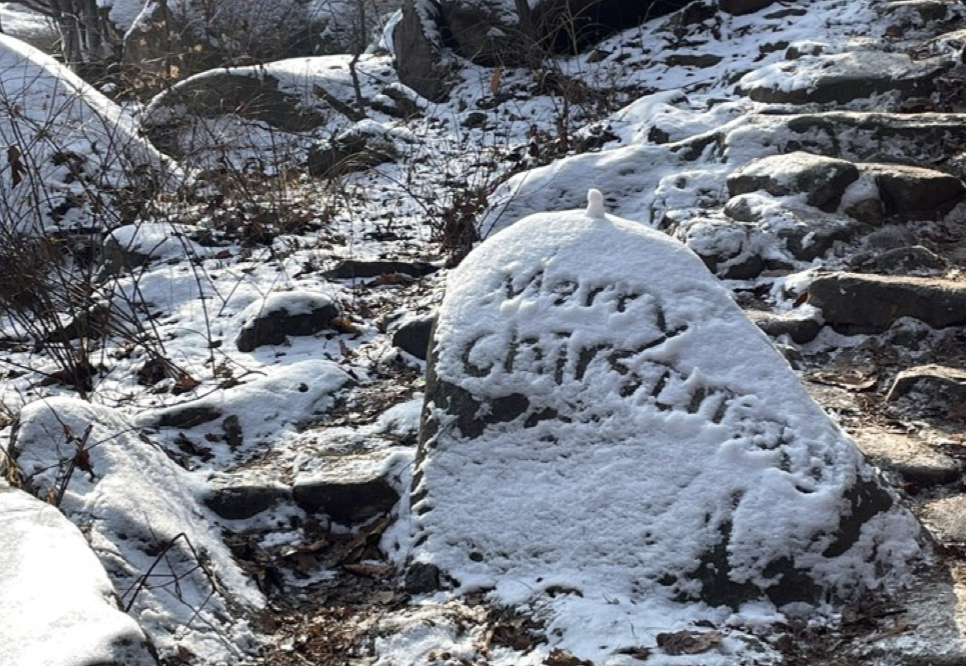 Screen Shot 2024-06-22 at 9.10.52 AM.png