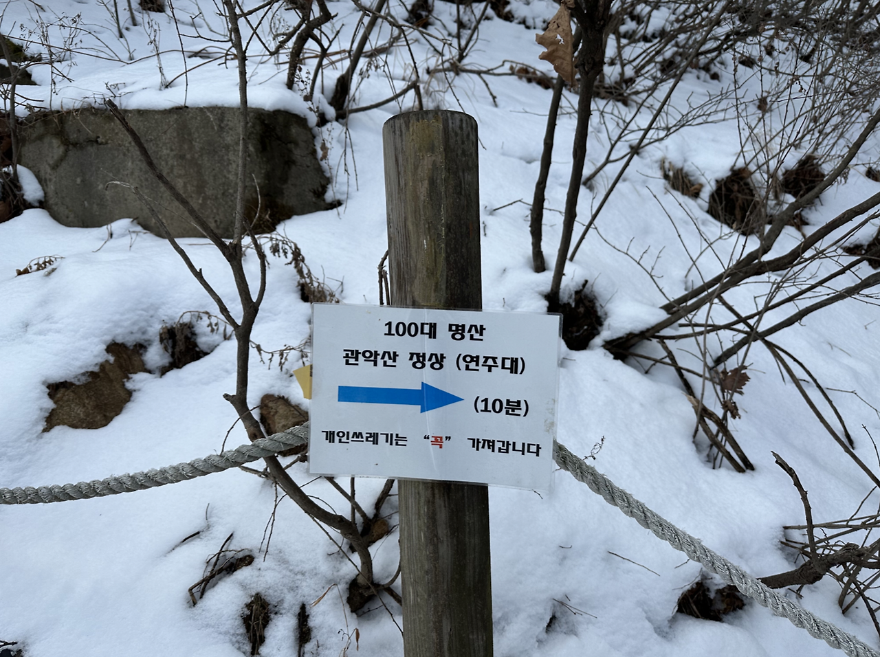 Screen Shot 2024-06-22 at 9.05.27 AM.png