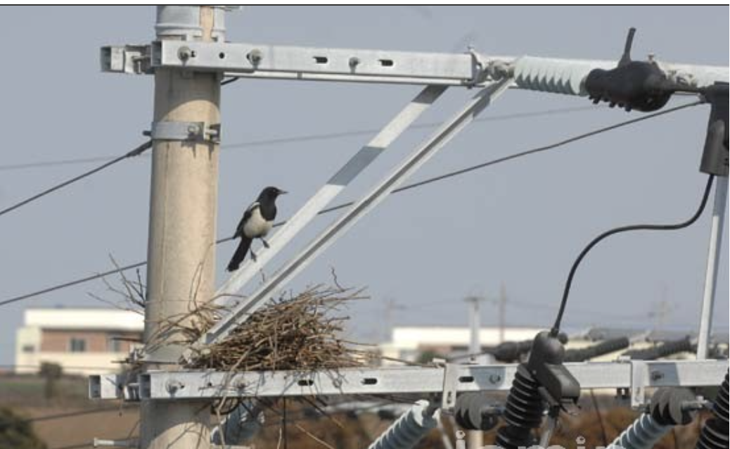 스크린샷 2024-03-22 105920.png