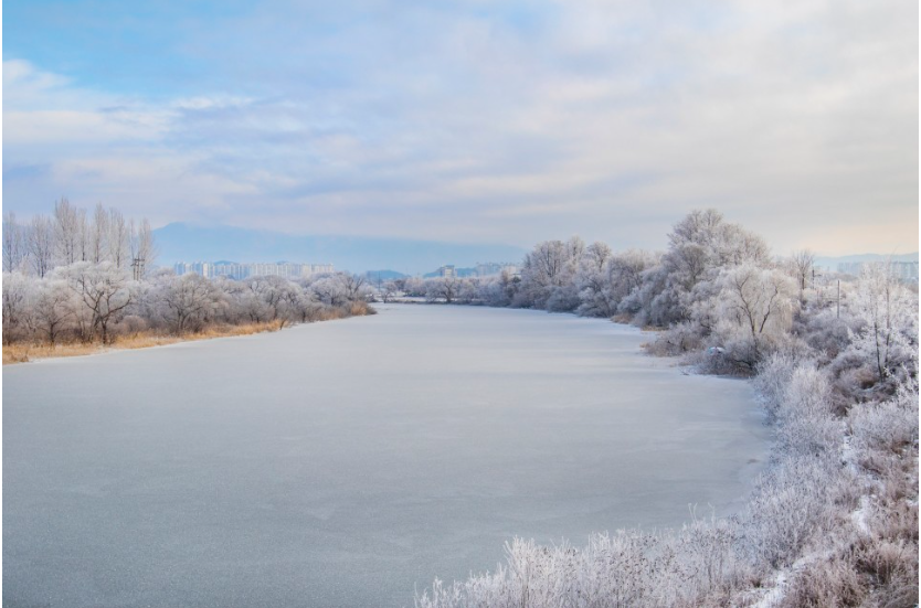 스크린샷 2024-01-24 170603.png