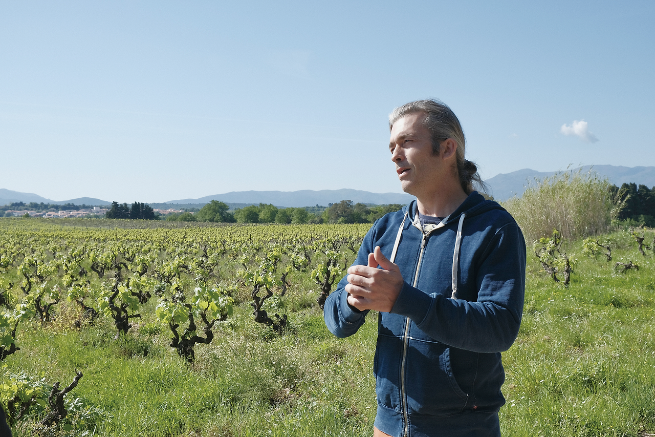 Clos Massotte (3).png