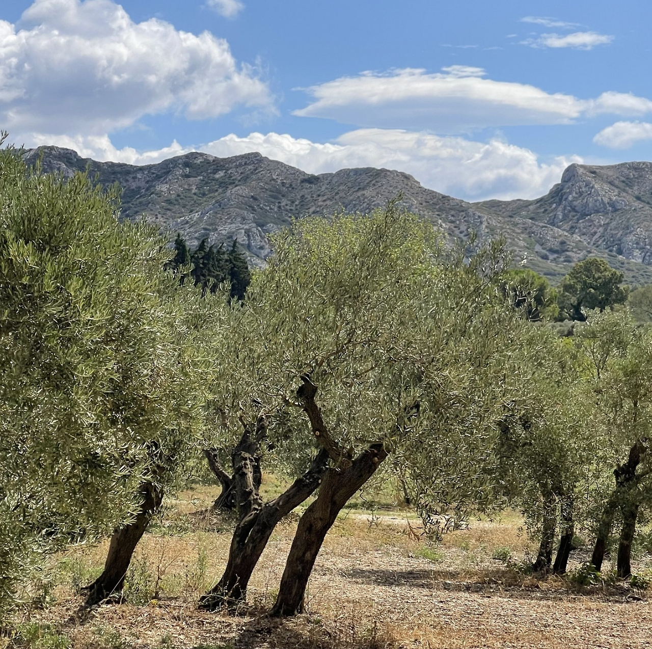 스크린샷 2025-07-29 오후 12.43.49.png