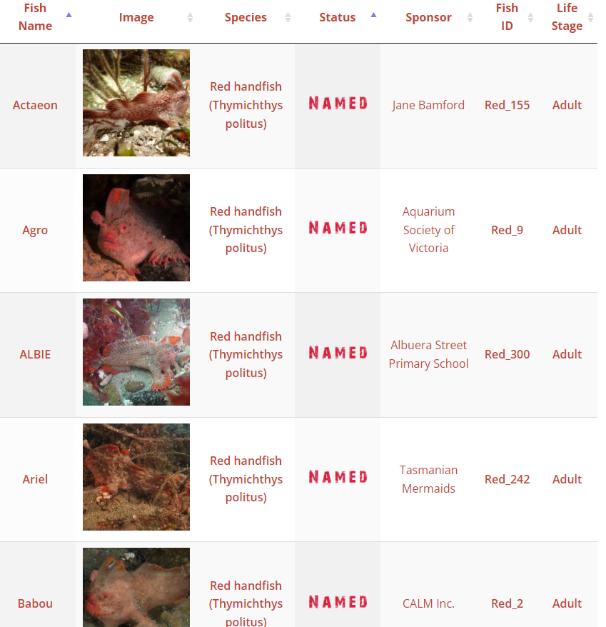 스크린샷 2024-09-26 115113.png