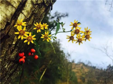 경계선을 지워라-3.png