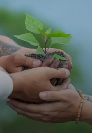 고집과 무시의 계절을 넘어-3.png