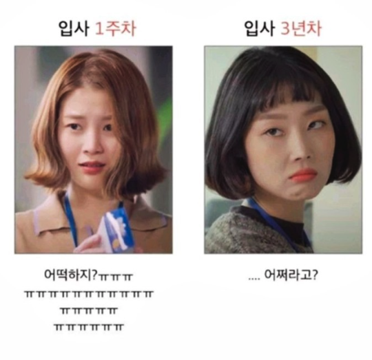 스크린샷 2024-01-13 오후 11.00.30.png