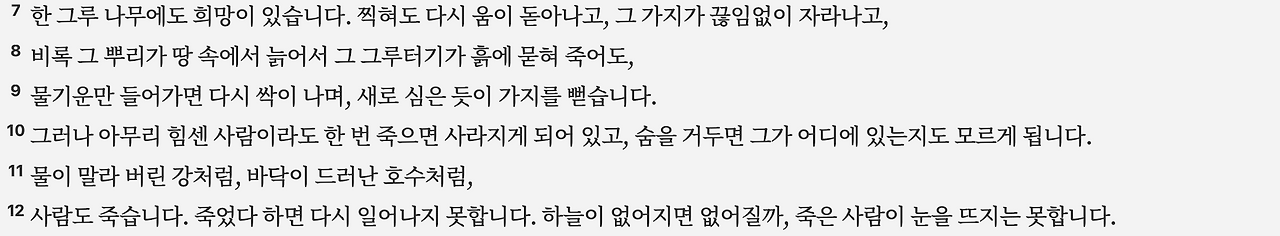 스크린샷 2025-04-26 오전 7.32.57.png