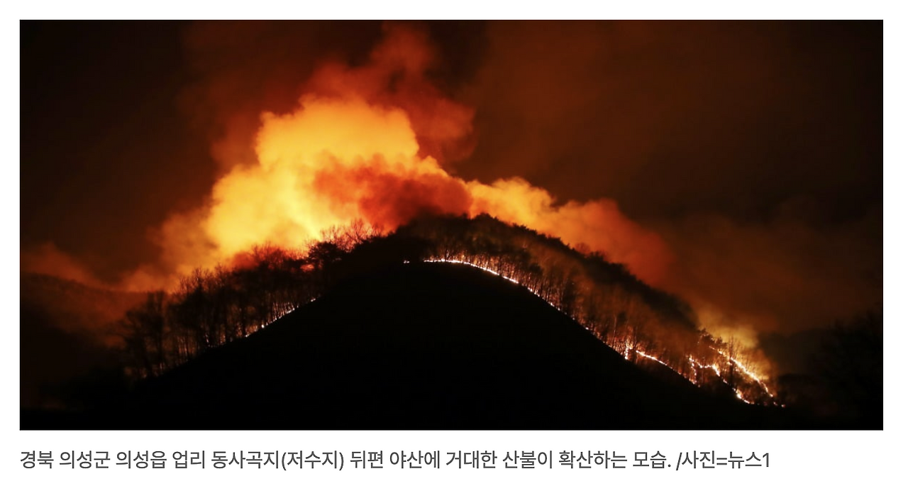 스크린샷 2025-03-24 오전 7.50.50.png