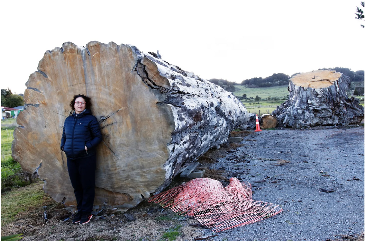 스크린샷 2025-01-20 오후 12.52.02.png