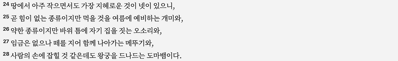 스크린샷 2025-06-22 오전 6.42.37.png