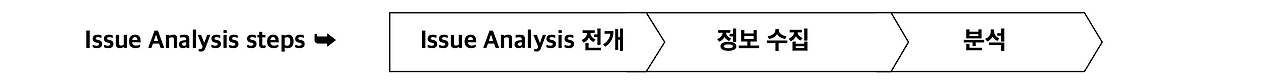 Issue Analysis steps.png