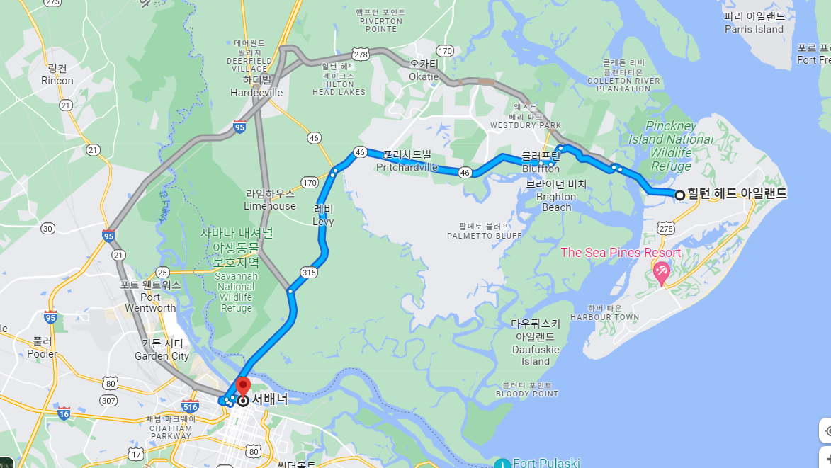 서배너 지도.png