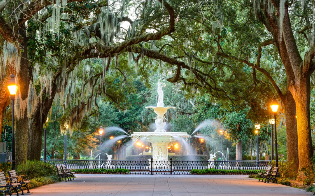 포사이드 공원.webp111.png