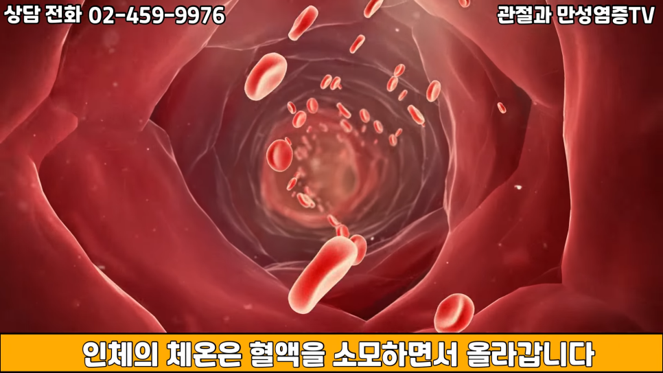 관절염이_있다면_흑염소_보양식_먹지_마세요_2-4_screenshot.png