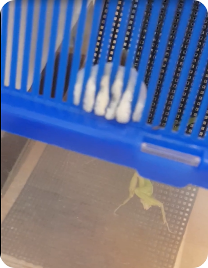 스크린샷 2023-10-06 104917.png